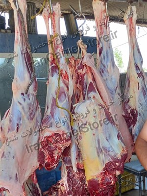  نکاتی در مورد گوشت شتر شهر ساری