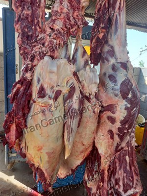 مراکز فروش گوشت شتر در شهر ری