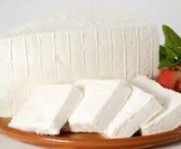 مراکز تولید پنیر با شیر شتر